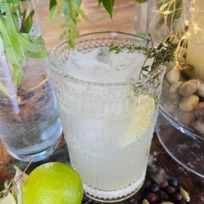Refreshing lime cocktail with ice and herbs