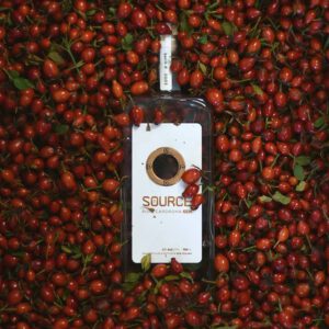 Gin bottle surrounded by rose hips